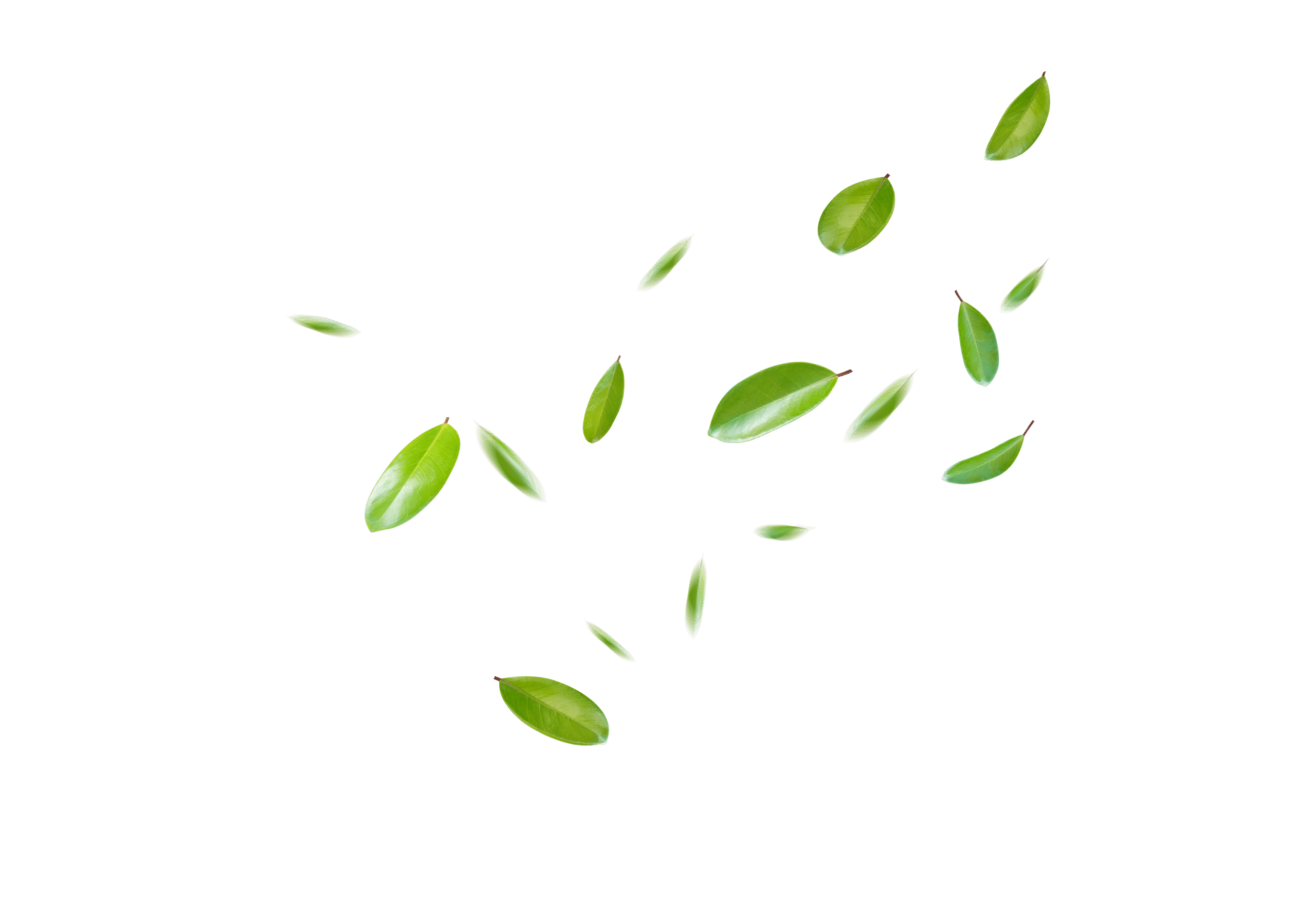 AdobeStock_563989145